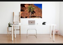 Australien Kings Canyon